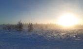 Randonnée Marche Waimes - botrange au dessus des nuages  - Photo 3