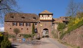 Tocht Te voet Neckarsteinach - Rundwanderweg Neckarsteinach 3: Dilsberg-Weg - Photo 3