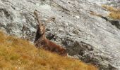 Percorso A piedi Champorcher - Sentiero 5C - Cuneu-Col Fussy - Photo 1