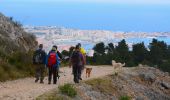 Trail Walking Toulon - SityTrail - 4 Chemins des Routes - Le Croupatier - Le Broussan - Col du Corps de Garde - Photo 14