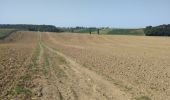 Tocht Stappen Lévignac-de-Guyenne - A travers les champs et vergers au sud de Lévignac De Guyenne - Photo 5