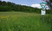 Trail On foot Urbach - Urbacher Wanderweg 9 - Photo 4