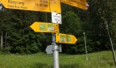 Tour Nordic Walking Ayent - Anzère - Botyre  - Photo 3