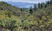 Trail On foot Cassis - Couronne de Charlemagne-10-04-24 - Photo 3