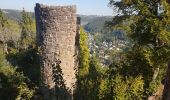 Trail Walking Schramberg - Schramberg - Châteaux de Falkenstein et de Hohenschramberg - Photo 10