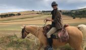 Trail Horseback riding Curan - Levezou 2 eme jour  - Photo 2