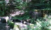 Tocht Stappen Scey-Maisières - Scey en Varais Ravin de Valbois - Photo 2