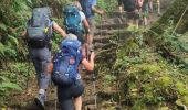 Randonnée Marche Cilaos - jour 5 la Réunion refuge piton des neiges - Photo 8