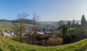 Tour Zu Fuß Altbüron - Altbüron - Kaseren - Photo 2