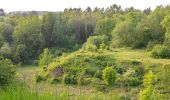 Tour Zu Fuß Steinheim - Rundwanderweg A2 [Bergheim] - Photo 4