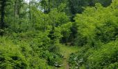 Trail Horseback riding Mollkirch - 2019-05-26 Balade Fête des mères - Photo 6