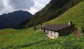 Tour Zu Fuß Valbondione - 306: Lizzola - Rifugio Curò - Photo 2