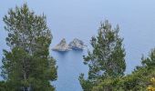 Randonnée Marche La Seyne-sur-Mer - Janas Sicié - Photo 2