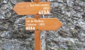 Randonnée Marche Tourrette-Levens - Tour Sud de Tourette Levens - Photo 12