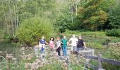 Tocht Stappen Guiry-en-Vexin - guiry en wexin - Photo 11