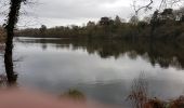 Trail Walking Muzillac - Muzillac: Circuit des Chouans (officiel) - Photo 1