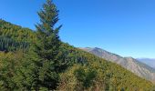 Randonnée Marche Vernet-les-Bains - Jour 1 Canigou 04.10.2022 - Photo 14