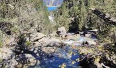 Randonnée Marche Cauterets - Lac de Gaube et Gr 31 - Photo 18