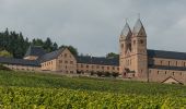 Excursión A pie Rüdesheim am Rhein - Hildegardweg - Photo 6