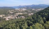 Randonnée Marche Roquefort-la-Bédoule - reco roquefort la Bedoule - Photo 2