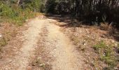 Trail Walking Fuilla - fuilla (66) - Photo 5