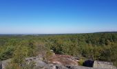 Excursión Senderismo Fontainebleau - AFF2019 - Photo 9