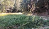 Excursión Senderismo Le Haut-Bréda - Croix du Léat,  Pierre des Pins, Lac et  chalet du Léat en passant par le chalet du bout - Photo 13