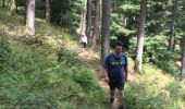 Trail Walking Breitenau - Fouchy  - Photo 4