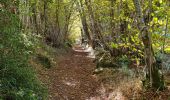 Tour Wandern La Bourboule - Charlannes du pont - Photo 18