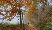 Trail Walking Villers-la-Ville - De l'abbaye de Villers-la-Ville à Sart-Dames-Avelines - Photo 12