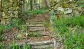 Trail Walking Rouffach - Rando CLAS JEUDI..29/05/2025 - Photo 4