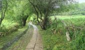 Excursión Senderismo Sarria - Sarria Portomarin  - Photo 16