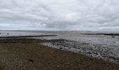 Tour Radtourismus  Saint-Martin-de-Ré - Île de ré - Photo 3