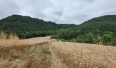 Tour Wandern Francillon-sur-Roubion - faux - Photo 4