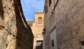 Tour Wandern Toledo - Toledo - Photo 11