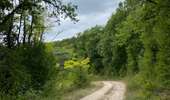 Trail Walking Arcy-sur-Cure - Arcy sur cure - Boucle des grottes - Photo 15