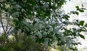 Tour Wandern Sotteville-sous-le-Val - 20260407-sotteville sous le val cool - Photo 10