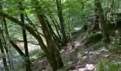 Tour Wandern Florenville - Azy-les épioux depuis Chassepierre - Photo 1