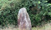 Randonnée Marche Buno-Bonnevaux - Buneau-Bonnevaux Menhir de la pierre droite  - Photo 3