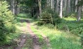 Trail Walking Vielsalm - Becheva piéton - Photo 8