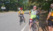 Tocht Wegfiets Vidauban - collobrieres gonfaron - Photo 4