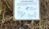 Percorso Marcia Fréjus - z les étangs de Villepey 18-12-18 - Photo 7
