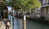 Tocht Stappen Dordrecht - Dordrecht parcs et vielle ville - Photo 11