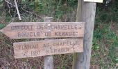 Trail Walking Ploumilliau - Circuit de Penn Ar Wern balisé - Photo 1