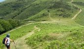 Trail Walking Itxassou - Mondarrain Gorospil en boucle retour par GR10 - Photo 4