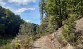 Randonnée Marche Jalhay - adeps sart 20 km bug - Photo 15