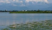 Randonnée A pied Pfäffikon - Pfäffikon - Seegräben - Photo 2