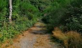 Trail Walking Houffalize - Promenade vers le Rocher du Hérou - Photo 4