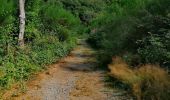 Tocht Stappen Houffalize - Promenade vers le Rocher du Hérou - Photo 4