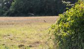 Tour Wandern Chissay-en-Touraine - Chissay-en-Touraine - Zig zag Beaune les Durdents - 18.2km 330m 3h50 - 2024 08 14 - Photo 3